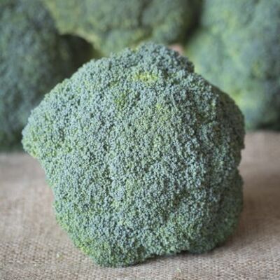 Broccoli di Christopher Trotter