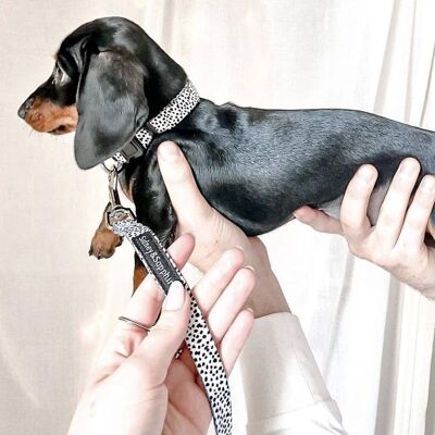 Collar de perro con estampado dálmata en blanco y negro 'Dotty Dexter', SKU023