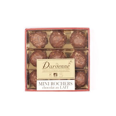 9 Mini Rochers Pralinés au Chocolat au Lait 90g