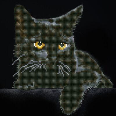 Chat noir - Diamants ronds