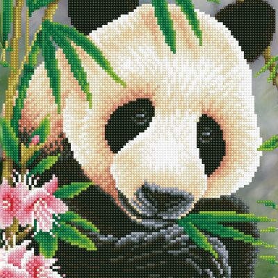 Príncipe Panda - Diamantes redondos