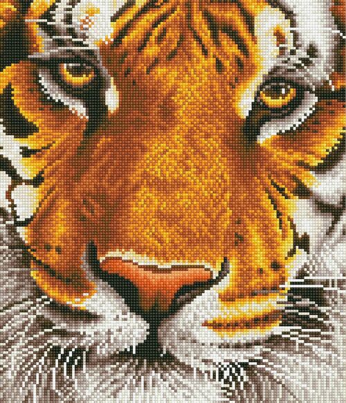 Tigre du Bengale - Diamants ronds