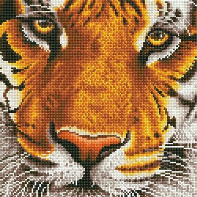 Bengalischer Tiger – runde Diamanten