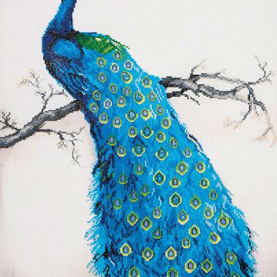 Blue peacock - Round diamonds
