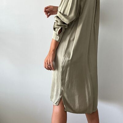 jade shirt dress