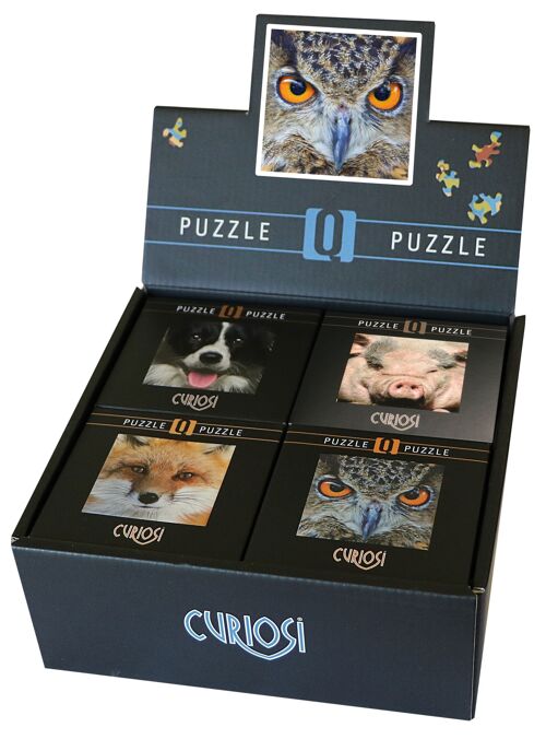 Display-Box Q4-Animal