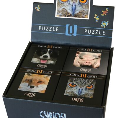 Display box Q4-Animal