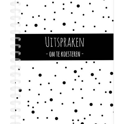 Uitsprakenboek