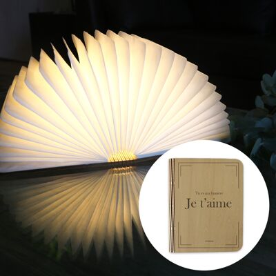 Libro LED luminoso personalizzabile - Natale