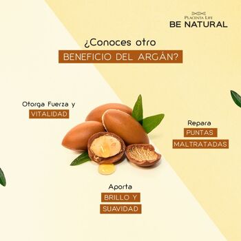 Argan de réparation. Masque intensif pour cheveux abîmés. Huile d'argan. Contenu 350 gr. 6