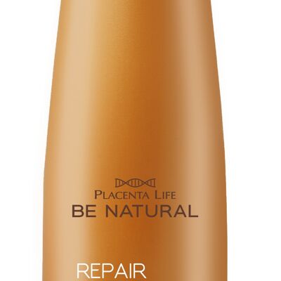 Argan reparieren. Reparierendes Shampoo für geschädigtes Haar. Arganöl. Vitamin E. Inhalt 350 ml.