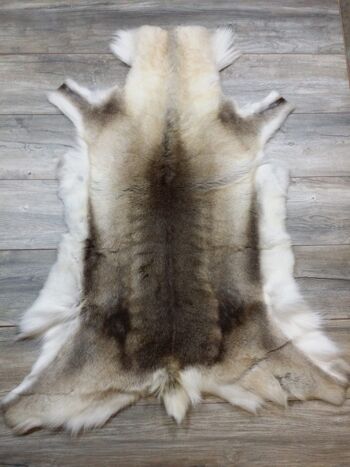 WOOOL Peau de renne - Laponie (XXXL/140cm) 2