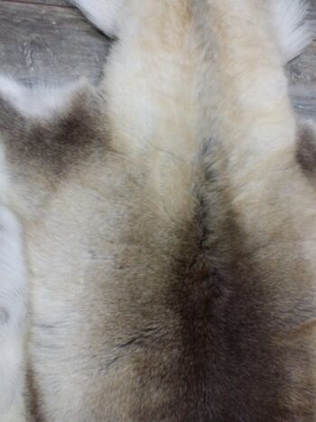 WOOOL Peau de renne - Laponie (XXXL/140cm) 3