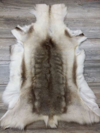 Peau de renne WOOOL - Laponie (XXXL/135cm) 2