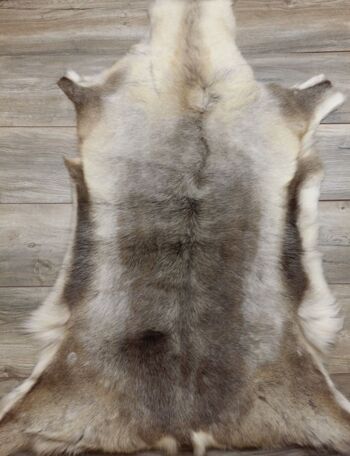 Peau de renne WOOOL - Laponie (XXXL/145cm) 2