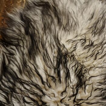 Peau de mouton WOOOL - Boucle de mouflon islandais (M) 2