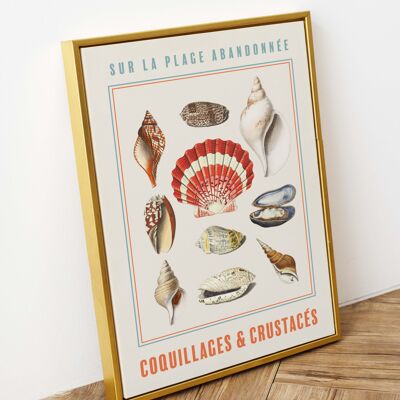 Coquillages et crustacés