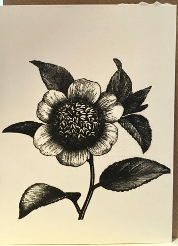 carte fleur noir