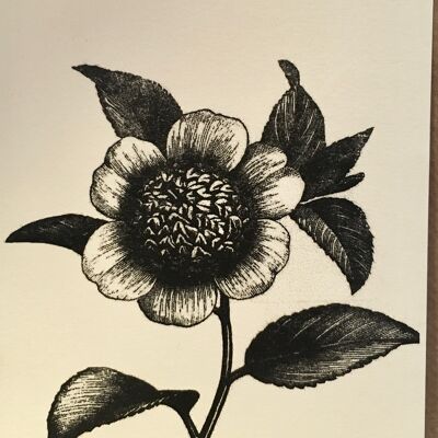 tarjeta de flor negro