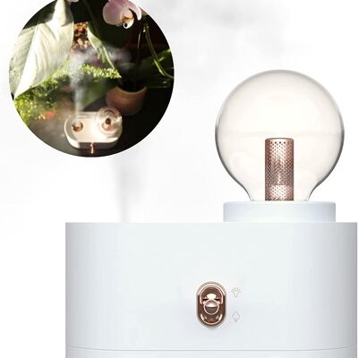 Portable humidifier with lamp function