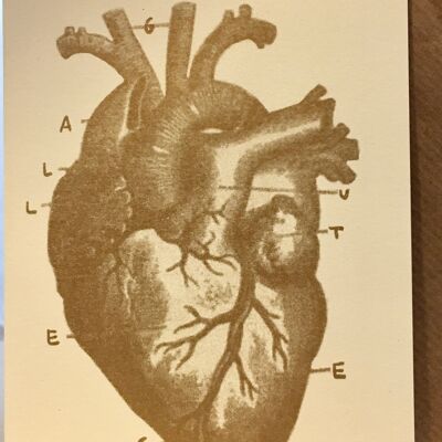 Tarjeta corazón anatómico