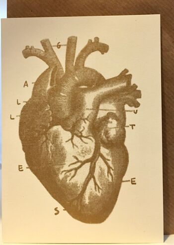 Carte coeur anatomique