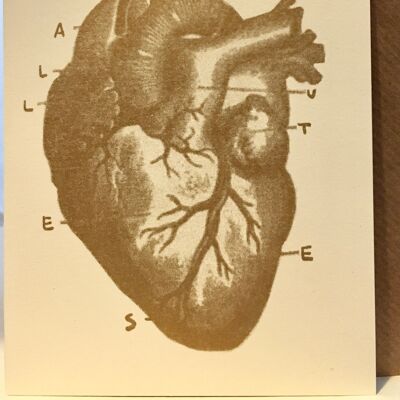 Karte Anatomisches Herz