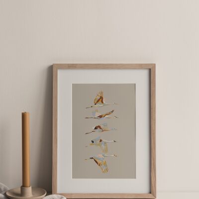 Free bird Art print A5