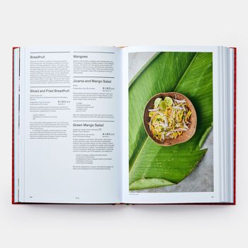 Le livre de cuisine latino-américaine 6