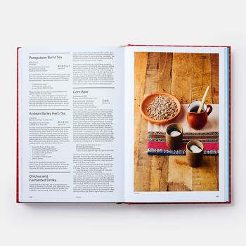 Le livre de cuisine latino-américaine 9