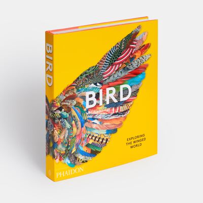 Bird: Exploring the Winged World