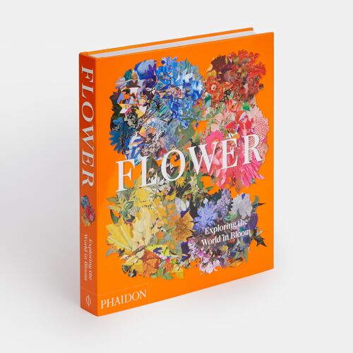 Flower: Exploring the World in Bloom