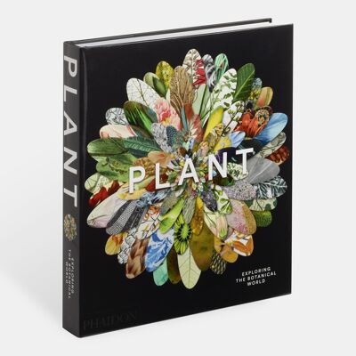 Plant: Exploring the Botanical World