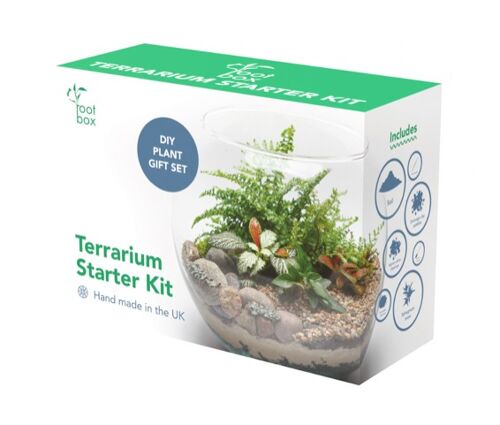 Compra Kit terrario grande Rootbox™, Confezione regalo profumata