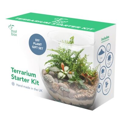 Rootbox™ Large Terrarium Kit | Scented giftbox | Suitable for Bonsai Succulents & Fern