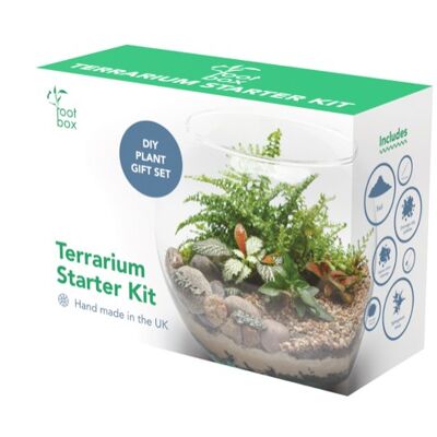 Rootbox™ Großes Terrarium-Kit | Duftende Geschenkbox | Geeignet für Bonsai-Sukkulenten und Farne