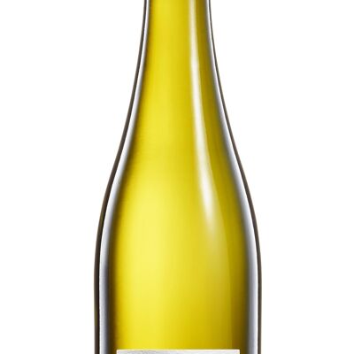 2022 Rheingau RIESLING fine secco "dall'ardesia colorata" VDP.Vino della tenuta