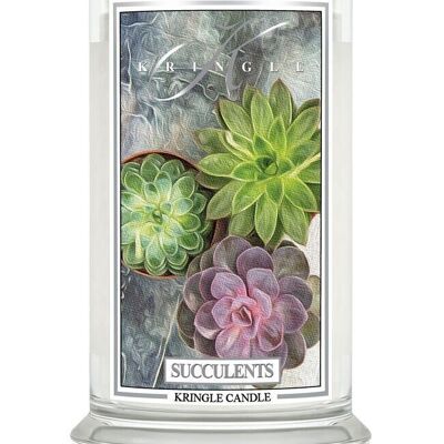 Succulents Large scented candle