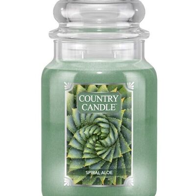 Scented candle Spiral Aloe Large