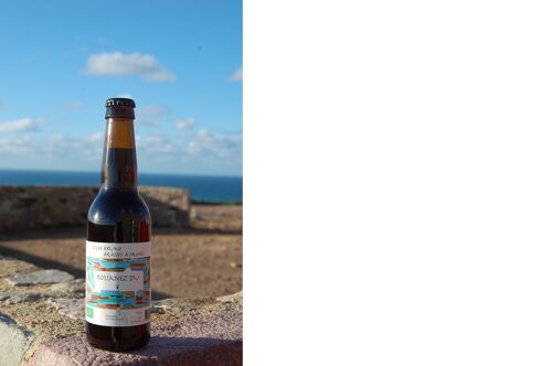 BIERE BRUNE BIO