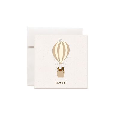 Mini Greeting Cards Small Illustrations Hot Air Balloon Hooray!