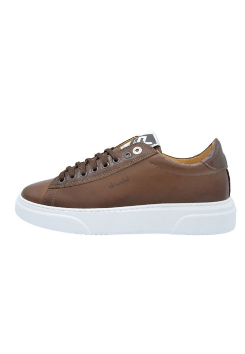 Sneakers alpha  drudd brown