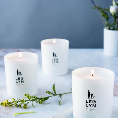 Fig Leaf and Wild Plum - Luxury Candle