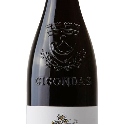 Dominio Palon Gigondas