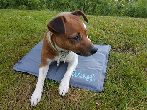 Henry Wag Cooling Mats for Pets Small