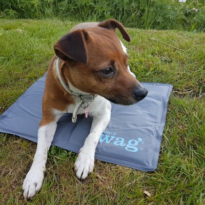 Tapis de refroidissement Henry Wag pour petits animaux de compagnie