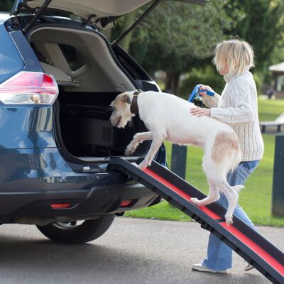 Rampe pliante légère pour animaux de compagnie Henry Wag