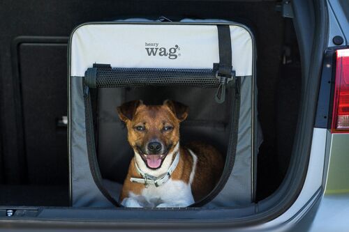 Henry Wag Folding Fabric Travel Crates , Small