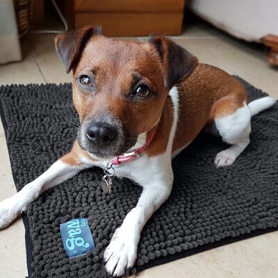 Henry Wag Tapis pour animaux de compagnie en microfibre avec nouilles, grand 80 x 65 cm