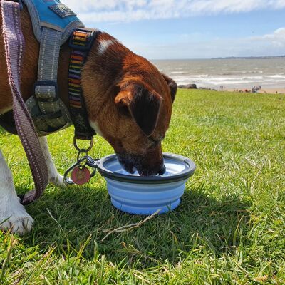 Henry Wag Travel Bowls , Two Sizes Available